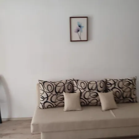 Janet פומורי